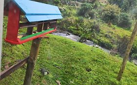 Eco Kaza